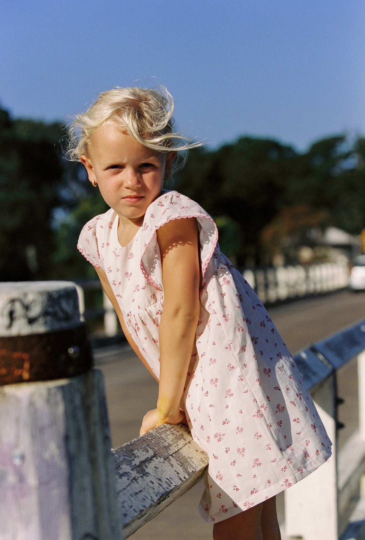 Daisy Dress - Blossom