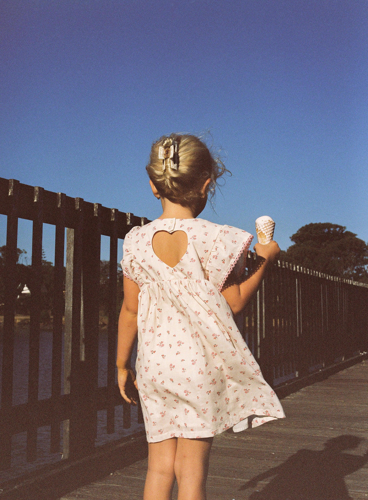 Daisy Dress - Blossom