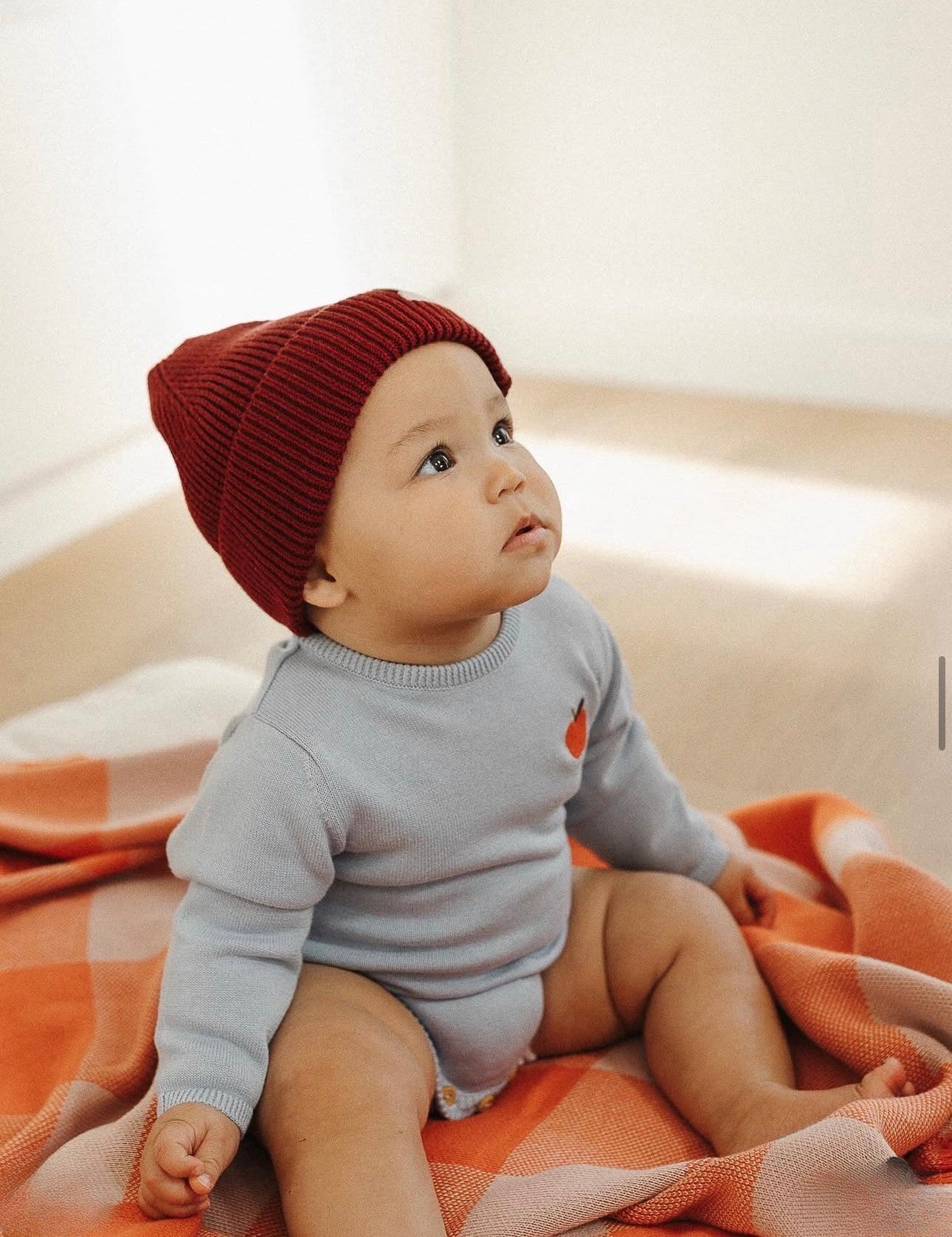 Knit Bodysuit - Sky Blue with Apple