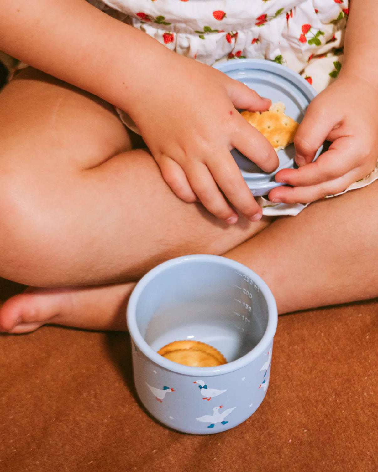 Silly Goose Snack Pot