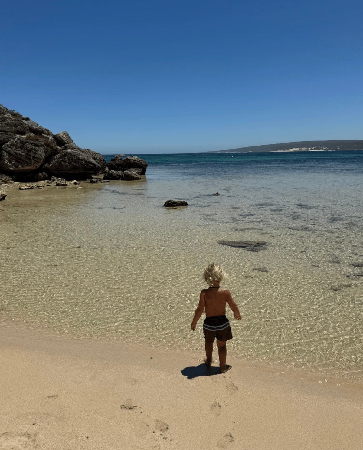 Board Shorts - Wharf