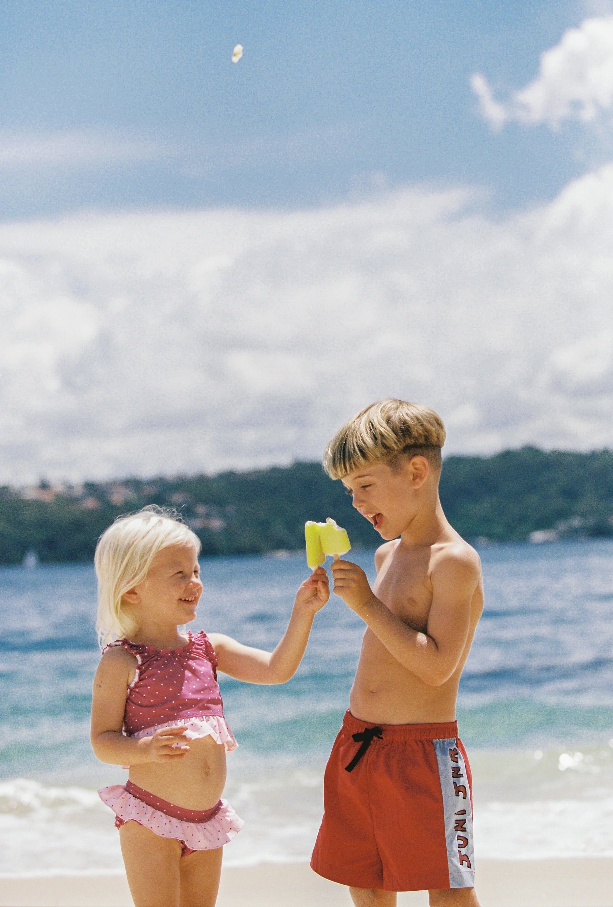 Lucille Bikini Set - Berry Spot