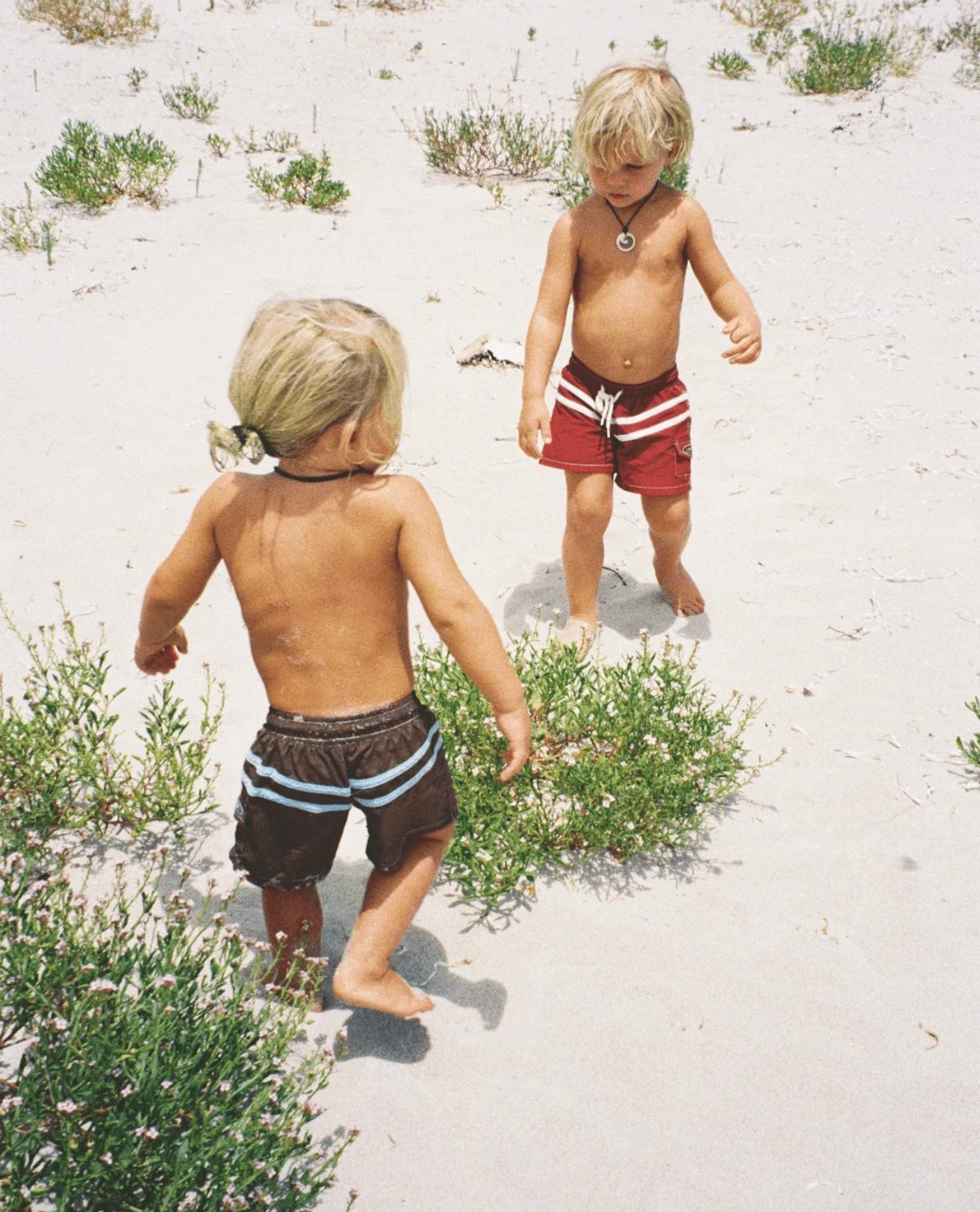 Board Shorts - Wharf