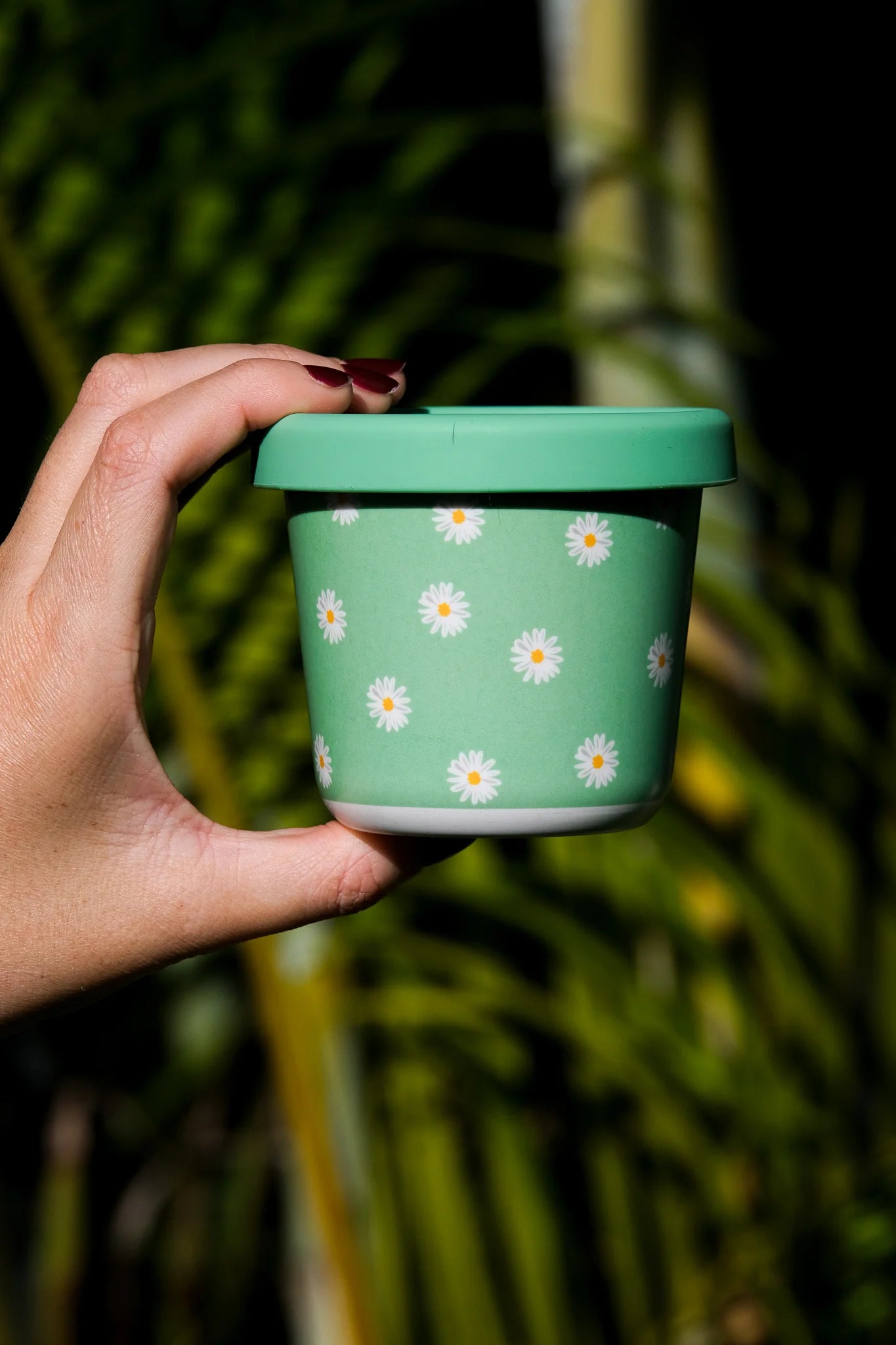 Daisy, BB (220ml)
