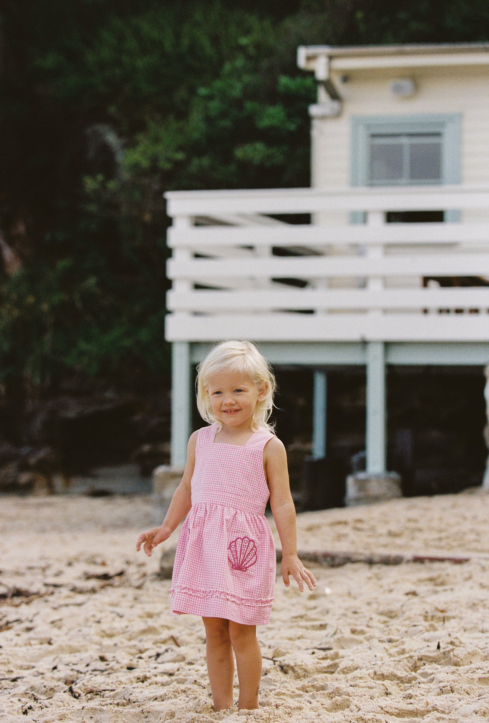 Coco Dress - Strawberry Gingham