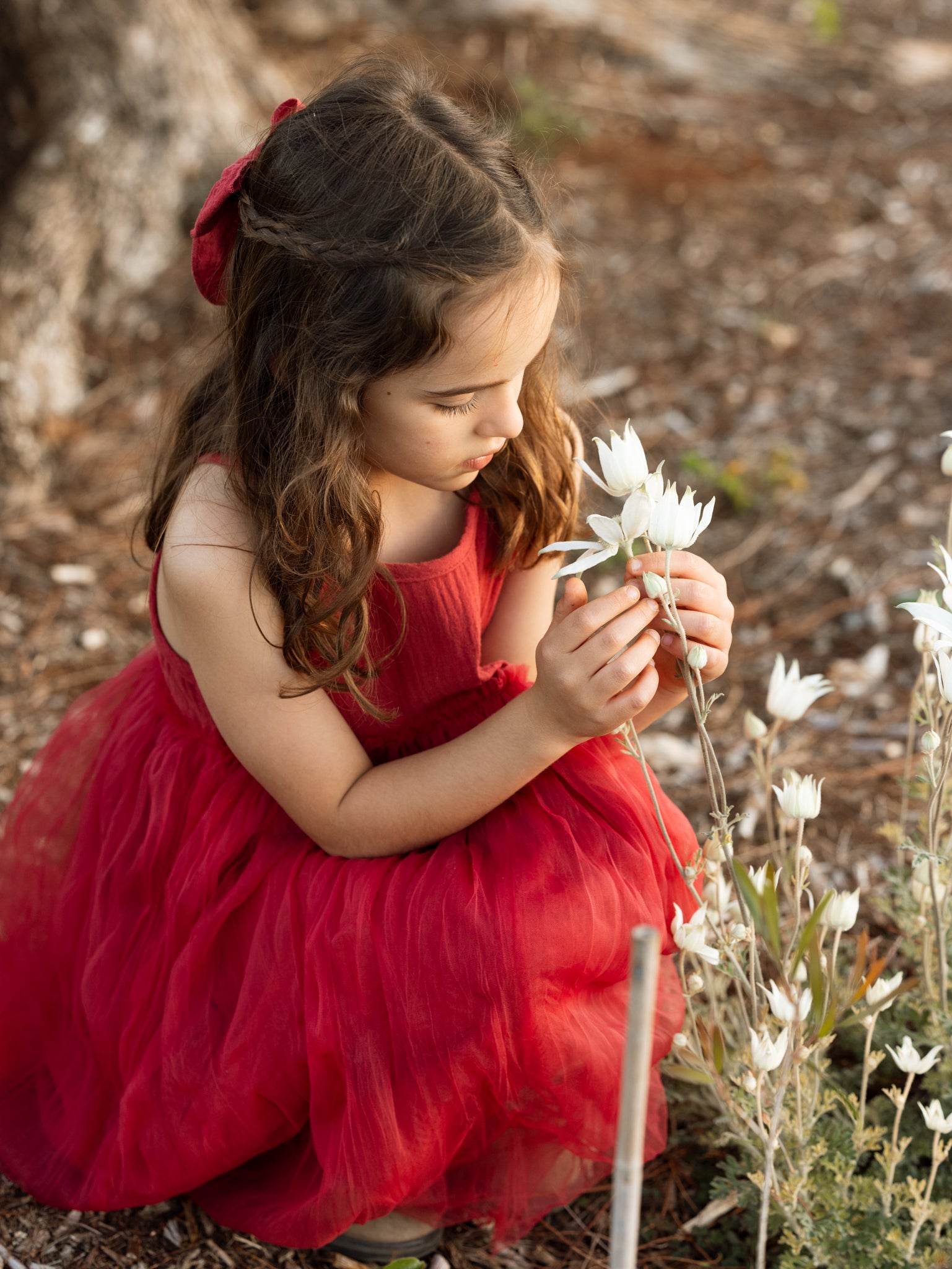 Bangalow Tutu - Christmas Red
