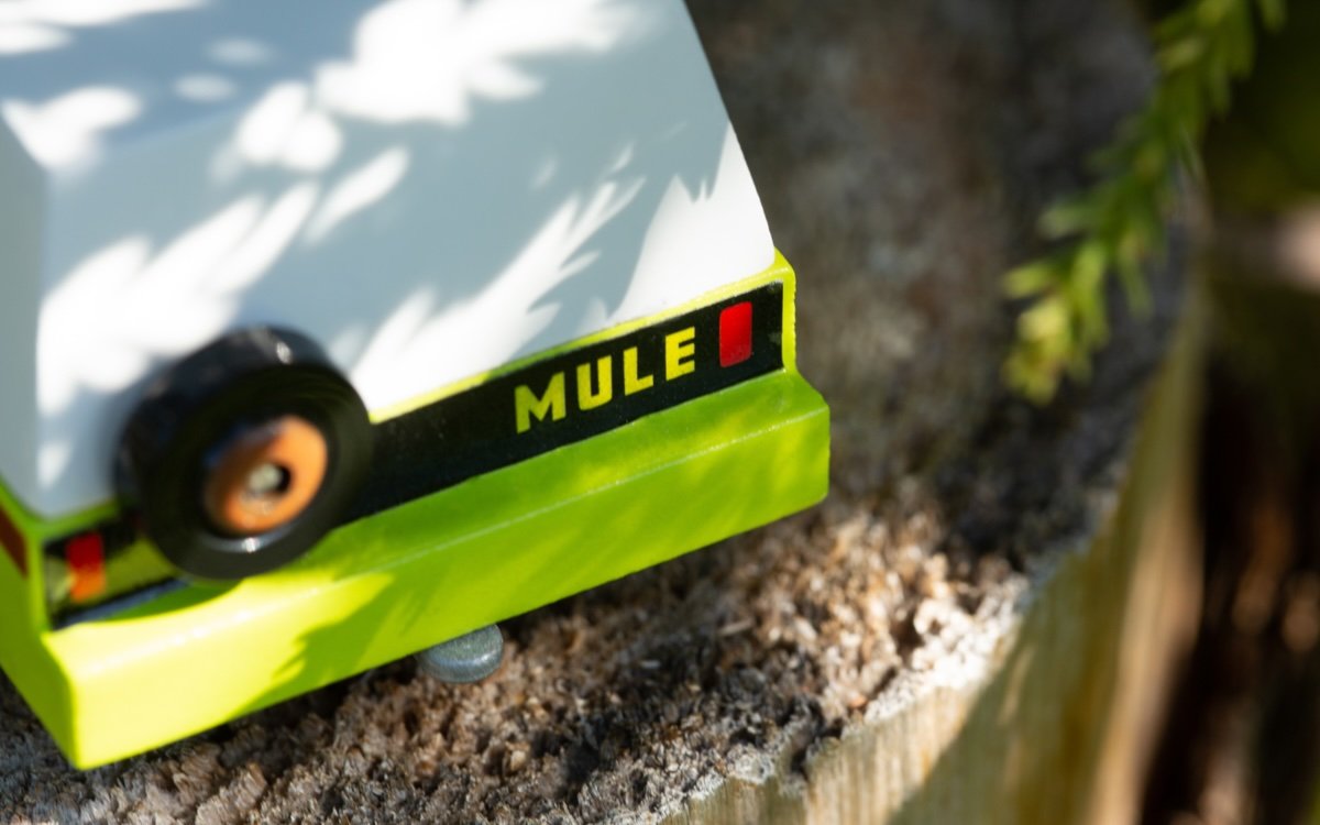 Candylab ~ Everglades Mule
