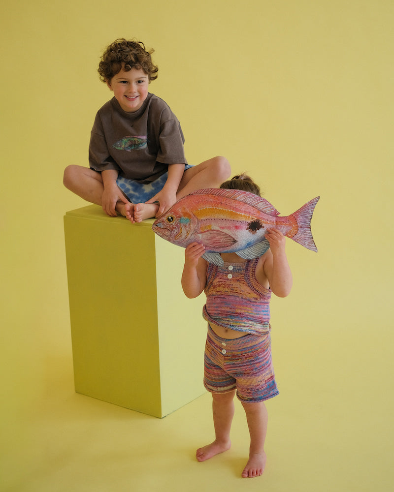 Knitted Shorts - Rainbow