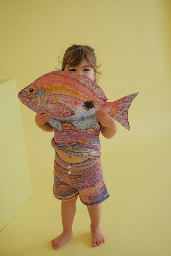 Knitted Shorts - Rainbow