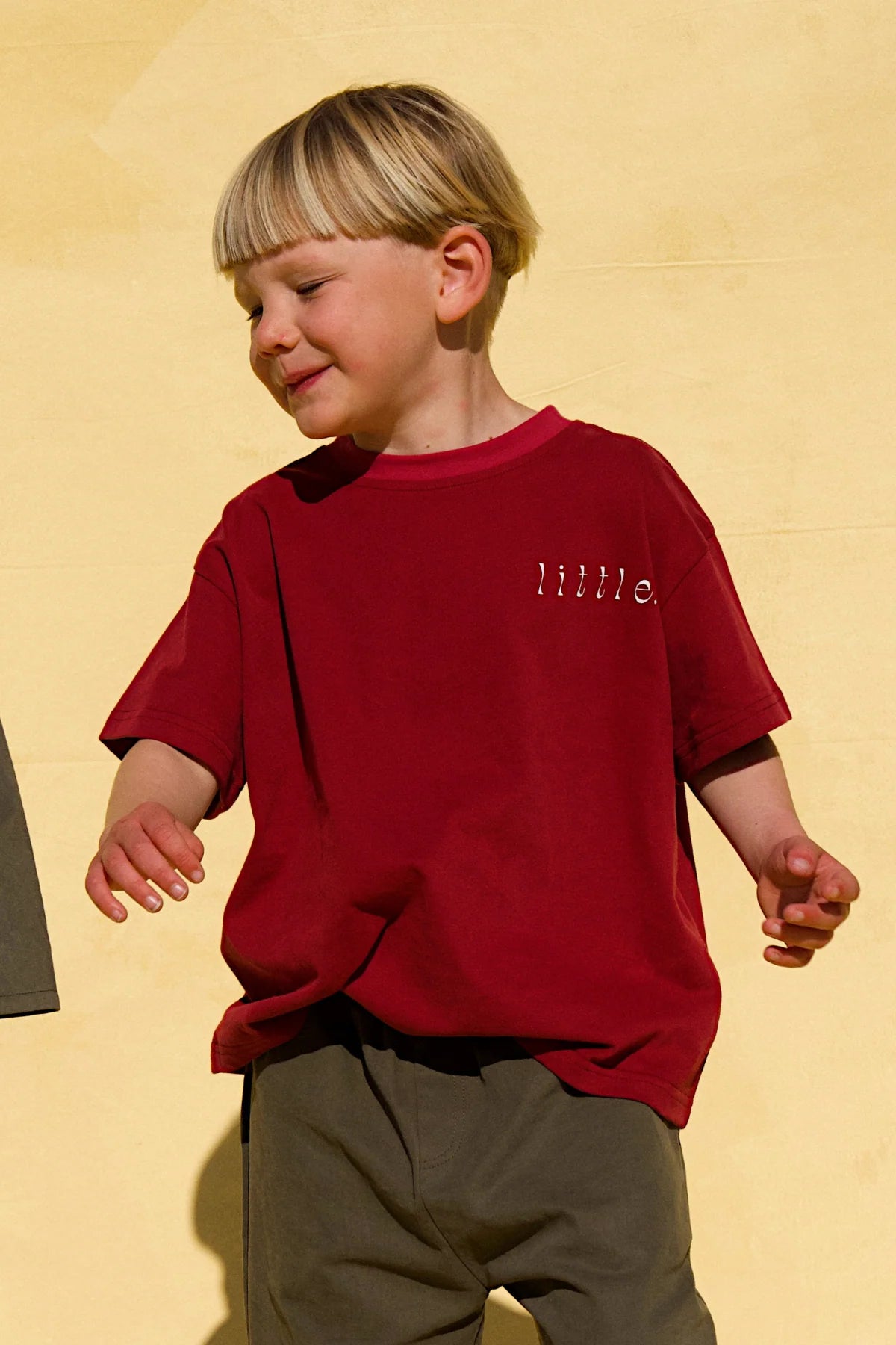 THE CRAZY FLAG LOU TEE - CHERRY