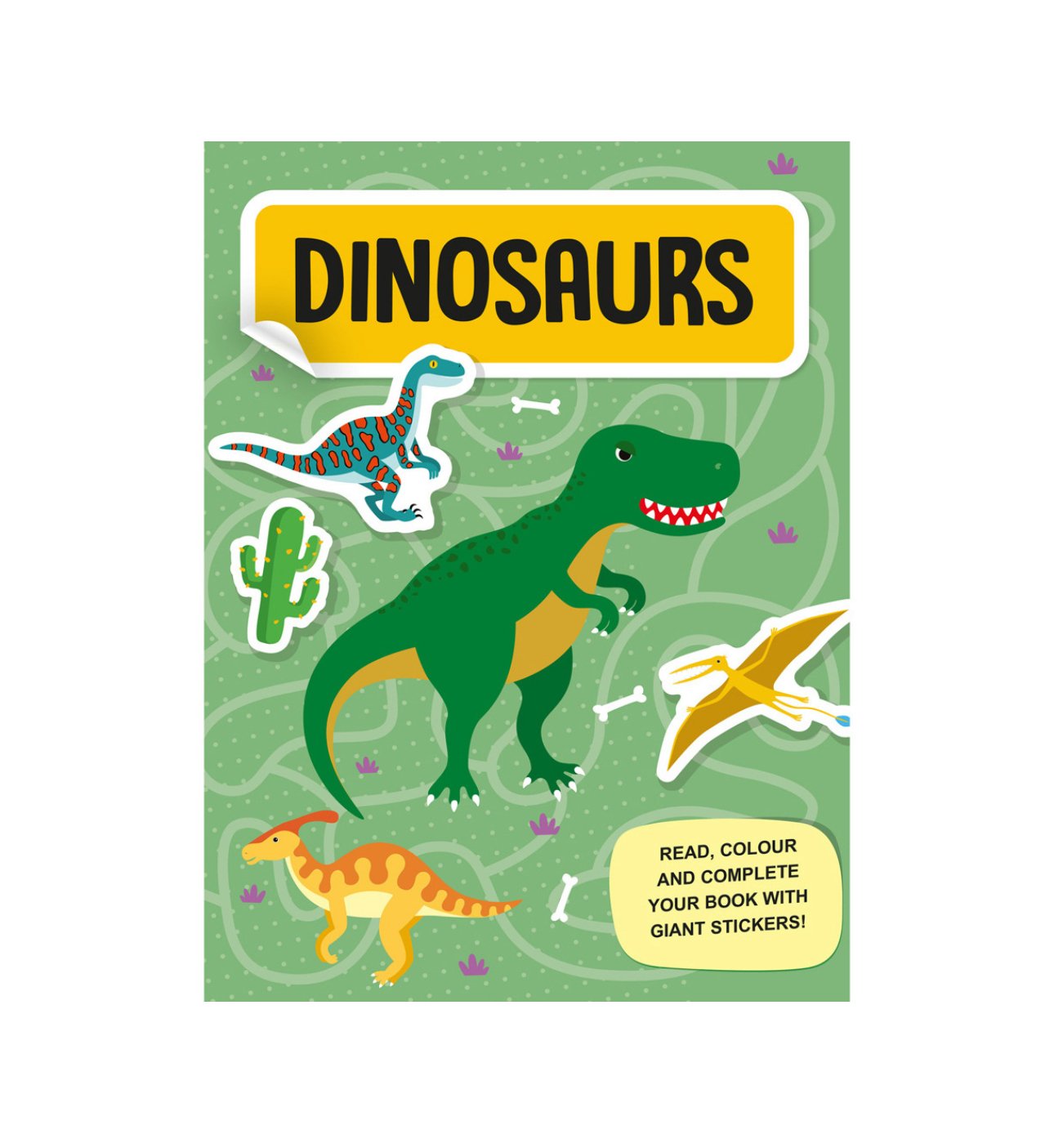 Sassi Arts & Crafts - Mega Dinosaurs