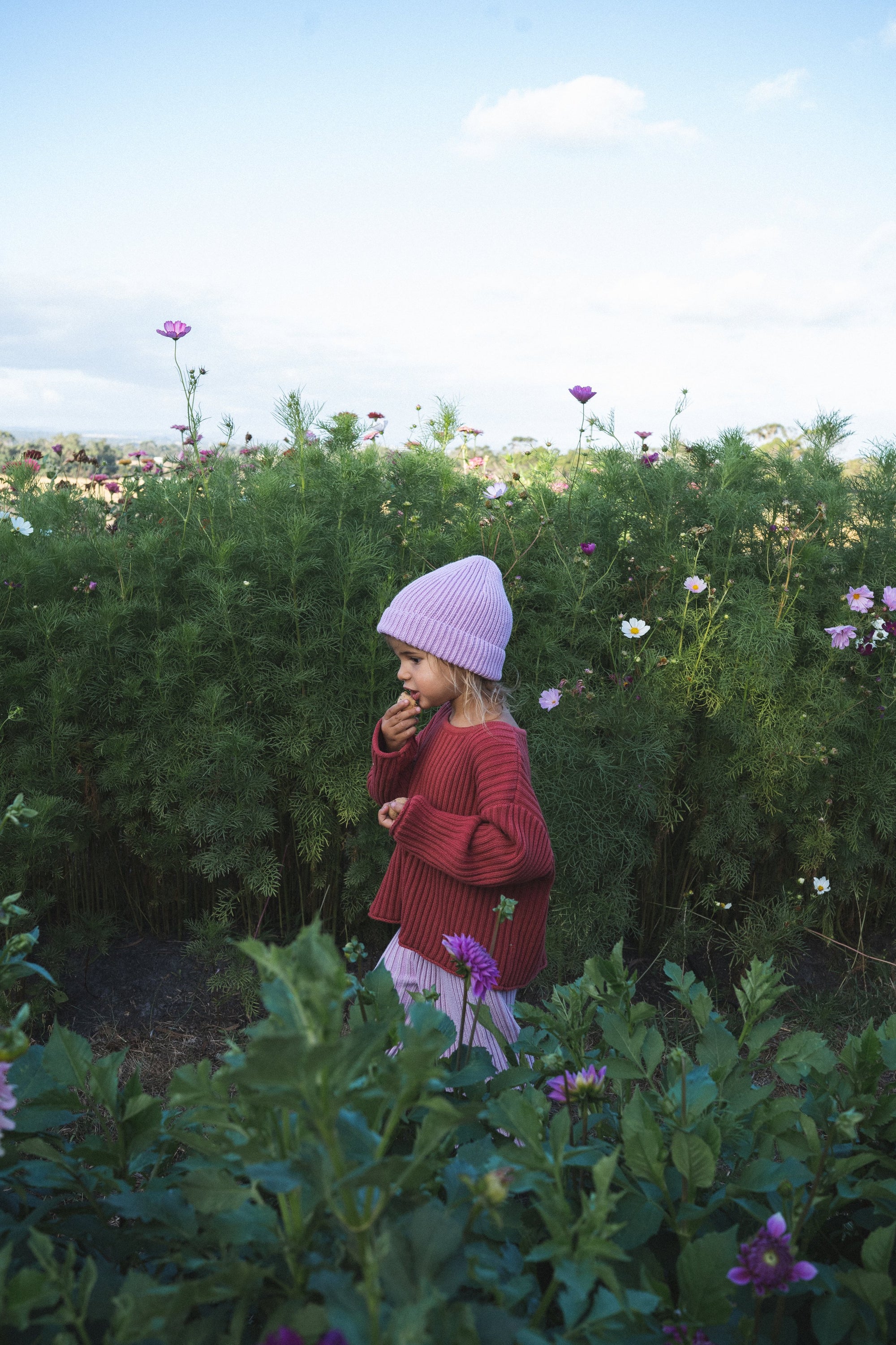 Illoura ~ Essential Knit Jumper | Brick