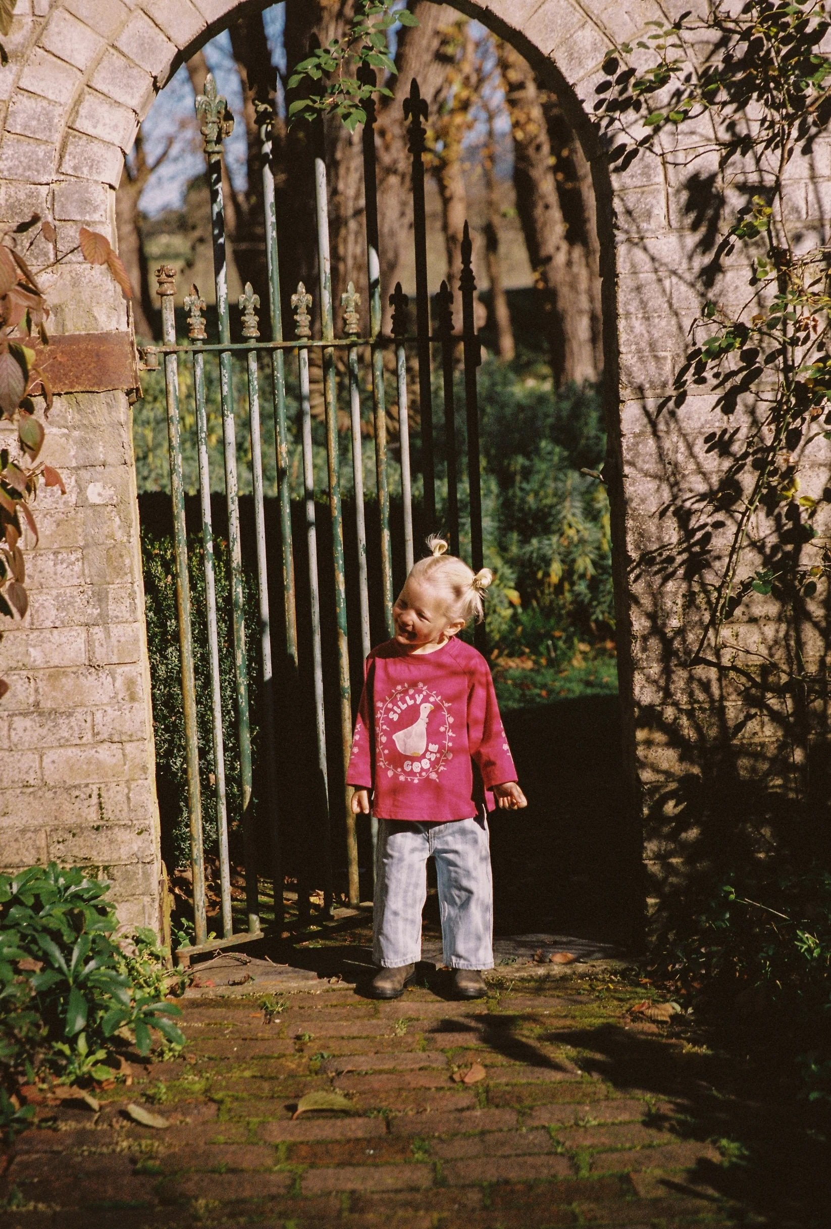 JUNI JNR ~ Silly Goose Tee