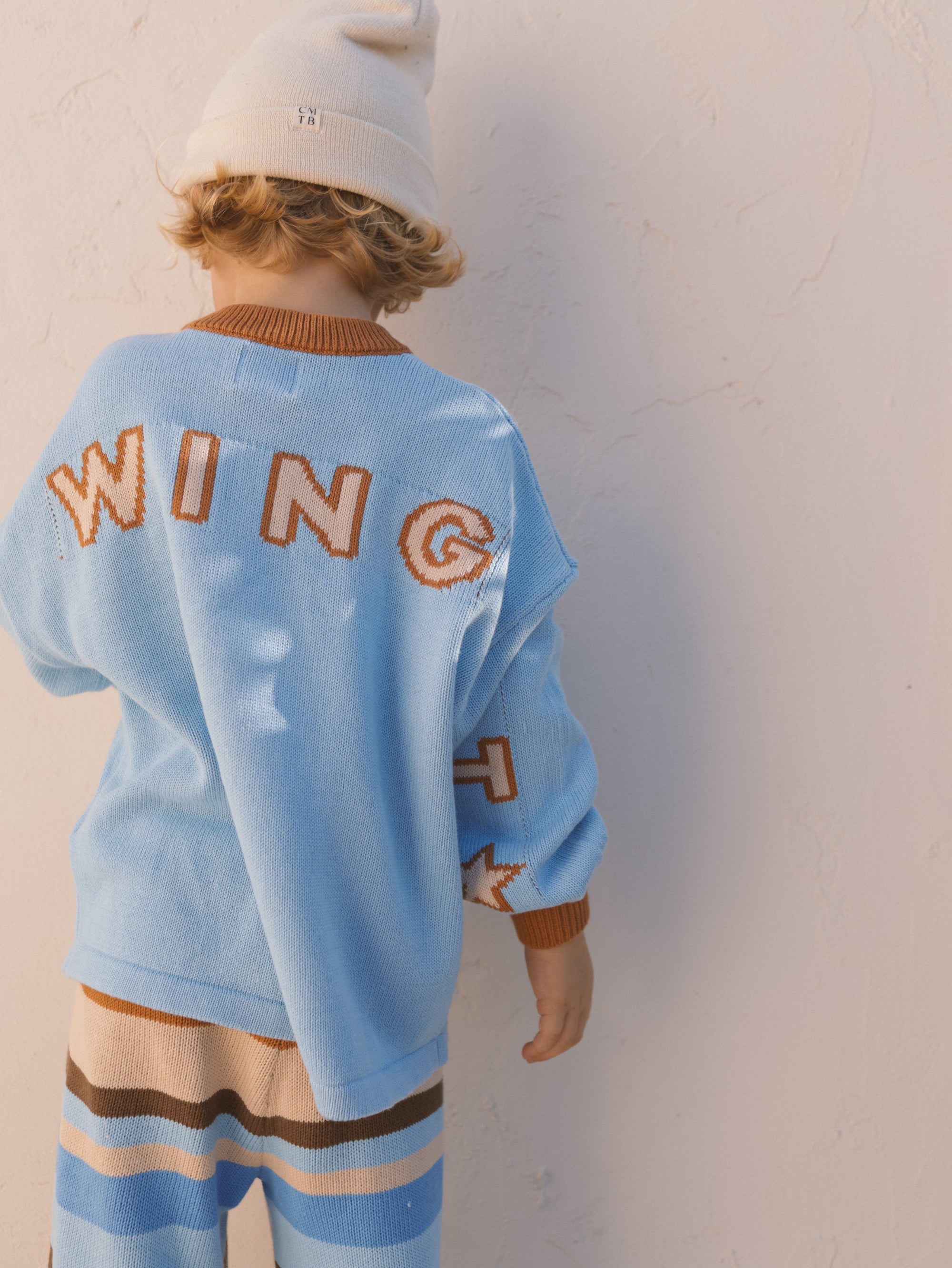Just Wing It Knit Pullover