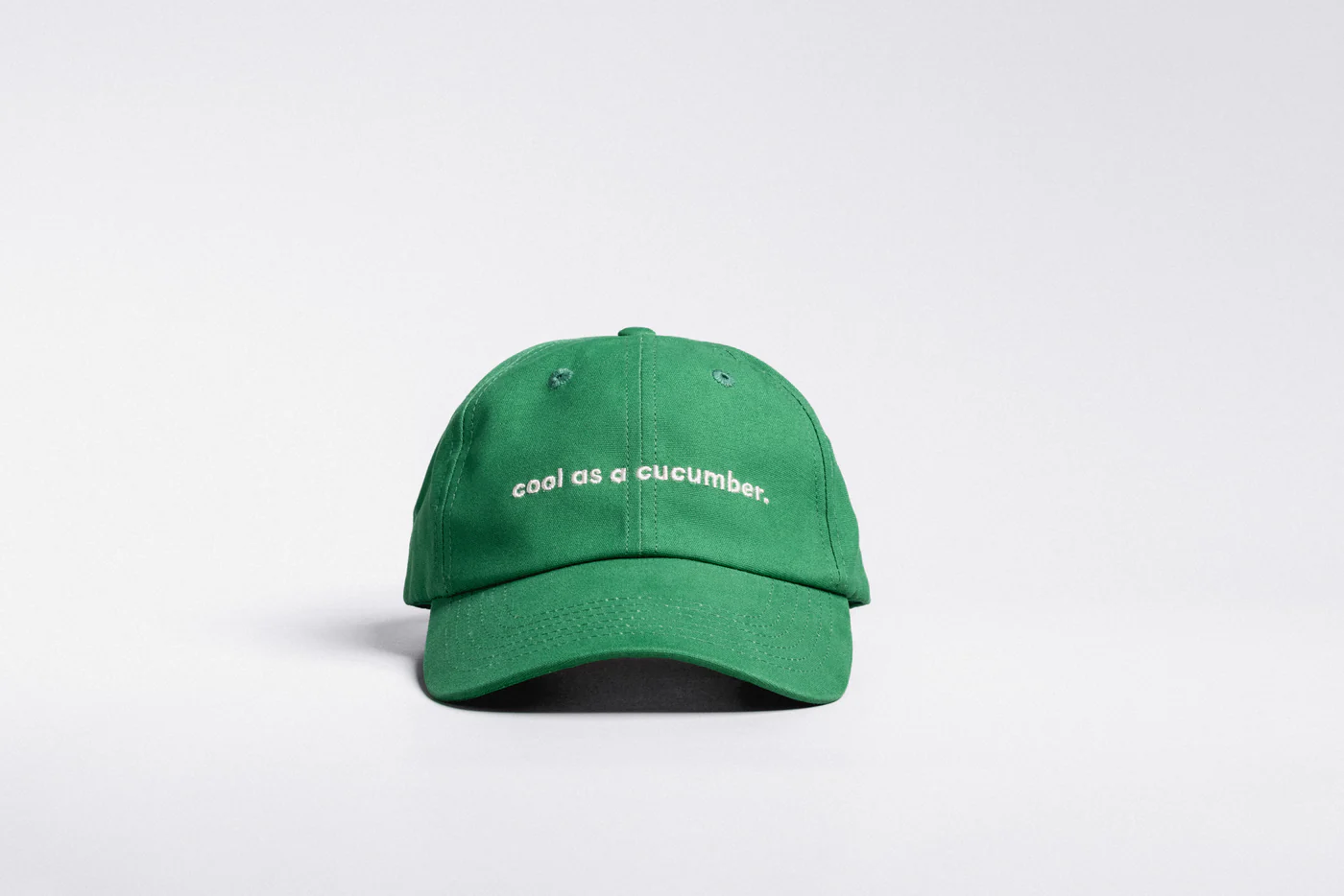 BBOBBIE ~ Cool as dad cap