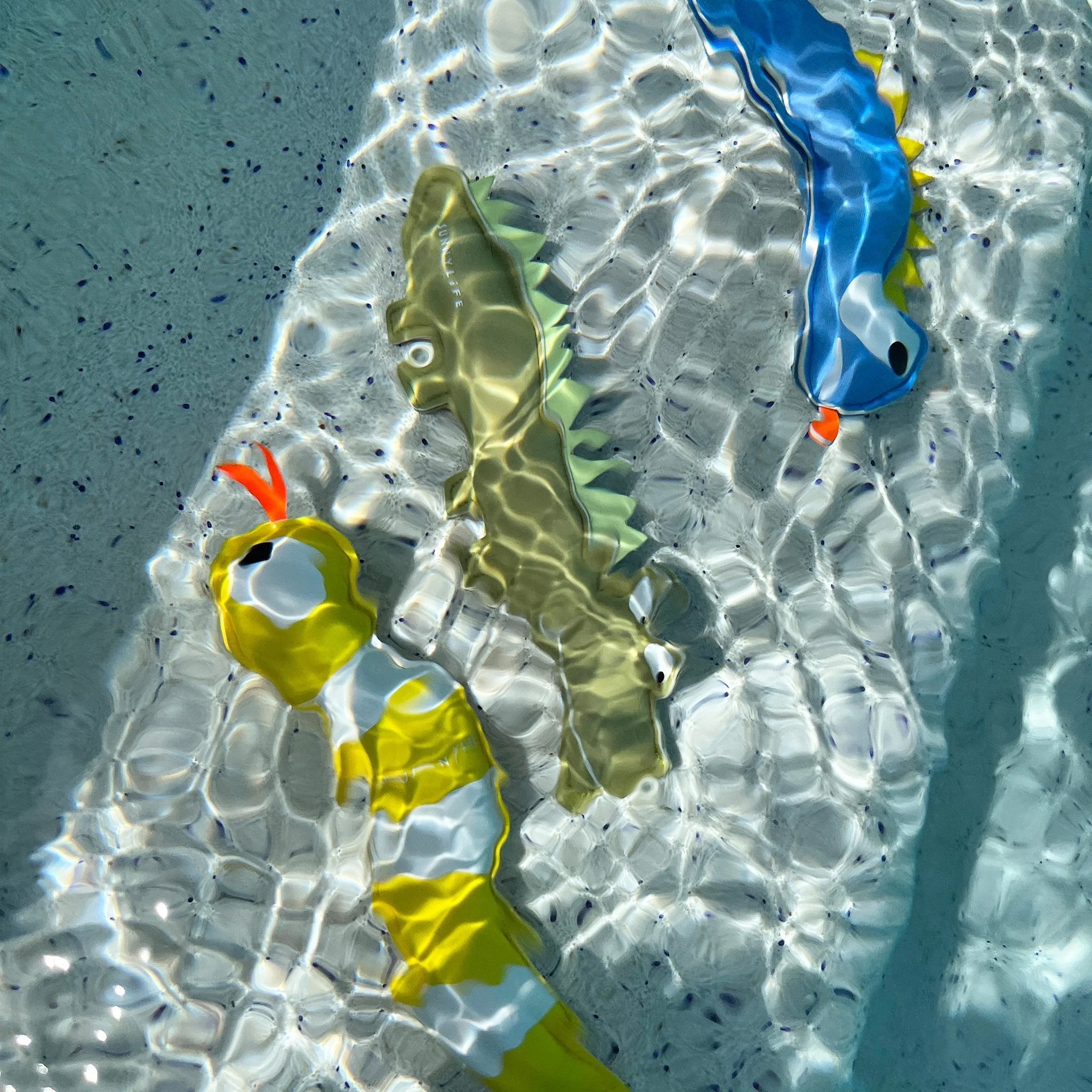 SUNNYLiFE ~ Dive Buddies Into the Wild Multi