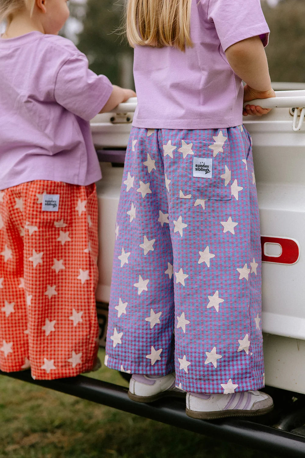 Dusty Star Pants - Purple Gingham